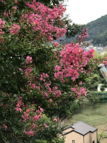 一人暮らし、私を助けた物・者