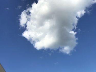 宝塚歌劇団公演