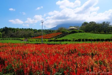 退職 </strong>😭