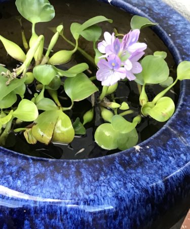 いっぱい元気もらえました</strong>💪😊