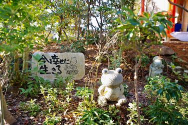 かえる寺