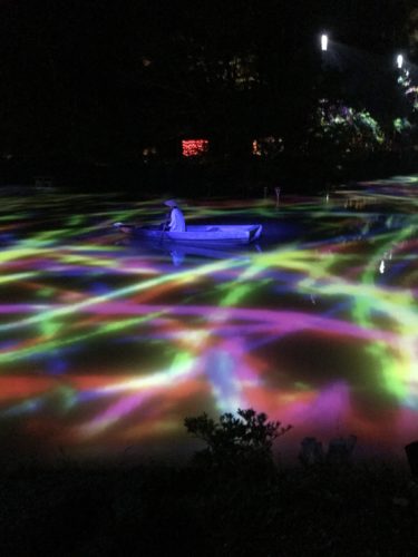 ケアマネさん来られる 2日目