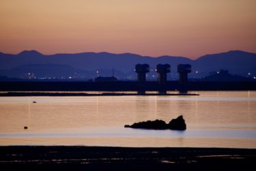 ベッドが来ました