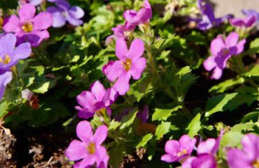 後ろ向きな先生？🙄