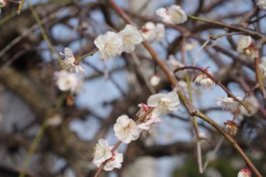 今週も助けられてます</strong>😊<strong>