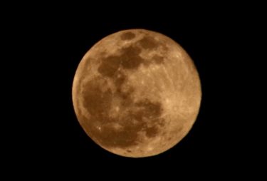 主人に感謝</strong>🙏👏<strong>