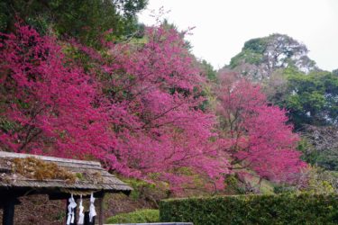 いろいろと助かりました</strong>🙏<strong>