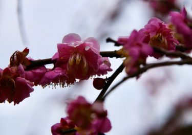 いっぱいのおみやげに感謝です</strong>🙏<strong>