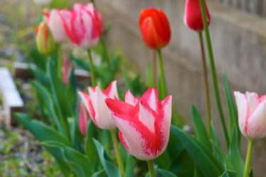 いよいよ足が・・・