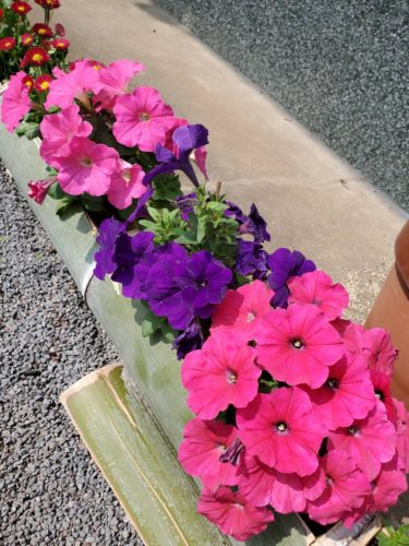 留守番頑張らなきゃ！💪