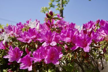 足がオーバーヒート？