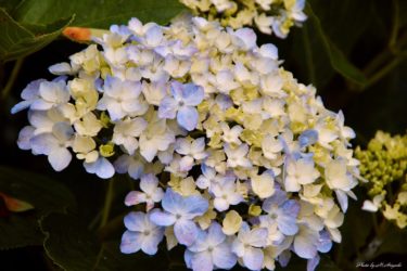 ブログお休みしている間に…