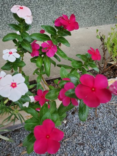 退院に向けて・・・