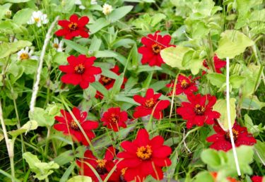 猛省してます😥