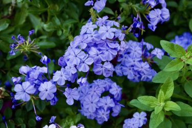 11月11日は、介護の日