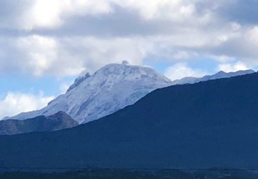 年末年始の予定が変わりました。