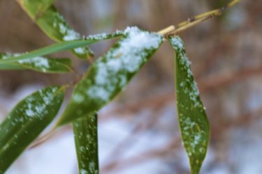 オヤジ初登場です！<br>