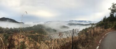 整体に行ってきました。