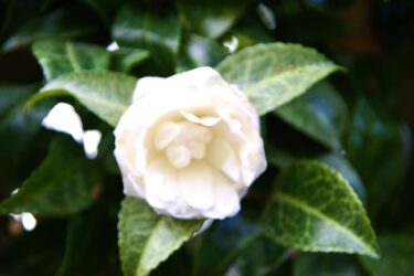 4回目のリハビリ入院