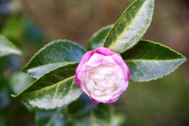 久しぶりに、緊急事態発生💦💦