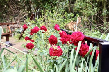 ご近所さんとの憩いの場　〜ウッドデッキDIY〜