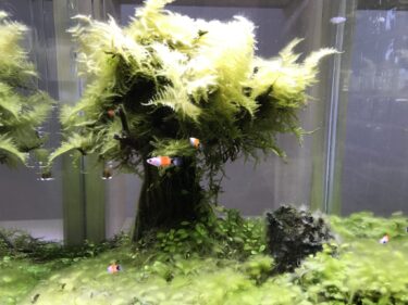 挿管したまま次の病院へ