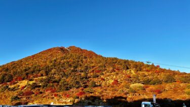 重度障害ヘルパー