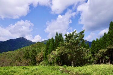 困った弟とお墓問題(1)