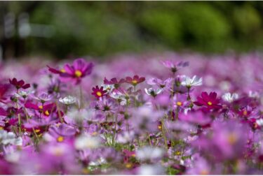 退院して初めて知りました。
