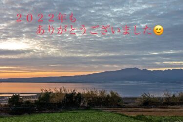 1年を振り返って