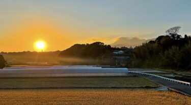 あけましておめでとうございます。