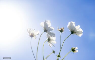 ５年を振り返って　３