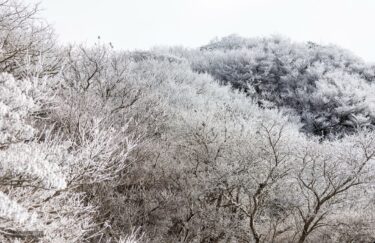 ２０２３年を振り返って．．．