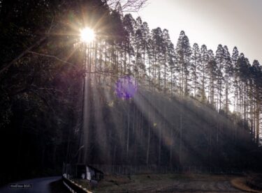 ２０２４年スタート