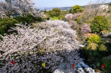３月の出来事