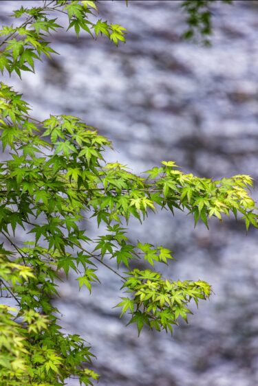 診断を受けて…