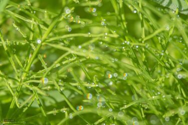 ５月の出来事…