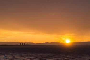 家族全員集合！