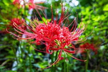 トラブルの多かった8月