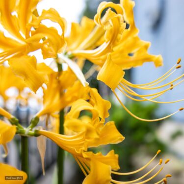 ９月の出来事。。。