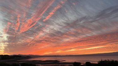 ２０２５年がスタート