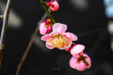 ２月の出来事！