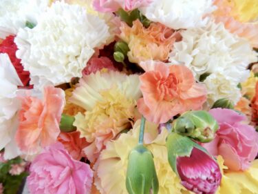 １１月の誕生会